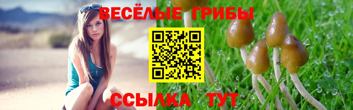 Галлюциногенные грибы Cubensis Углич